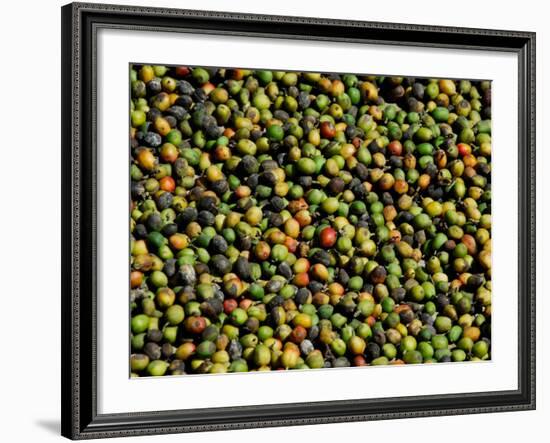 Coffee Beans, Coffee Plantation and Museum, Museo del Cafe, Antigua, Guatemala-Cindy Miller Hopkins-Framed Photographic Print