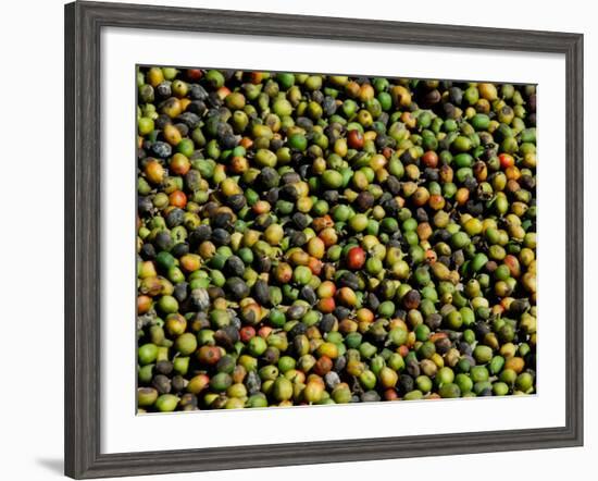 Coffee Beans, Coffee Plantation and Museum, Museo del Cafe, Antigua, Guatemala-Cindy Miller Hopkins-Framed Photographic Print