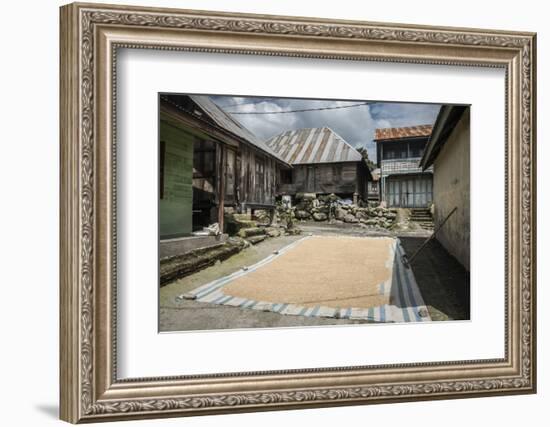 Coffee Beans Drying in Sun in a Village in Foothills of Sinabung Volcano, North Sumatra, Indonesia-Matthew Williams-Ellis-Framed Photographic Print