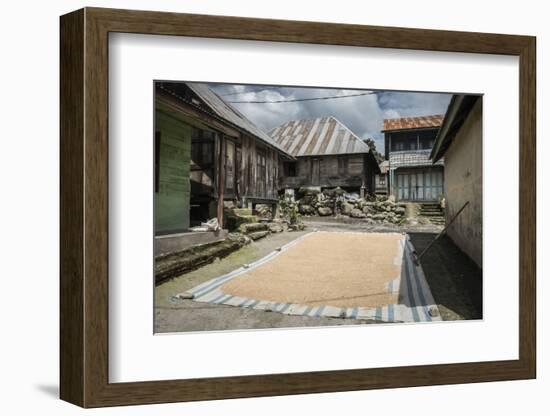 Coffee Beans Drying in Sun in a Village in Foothills of Sinabung Volcano, North Sumatra, Indonesia-Matthew Williams-Ellis-Framed Photographic Print