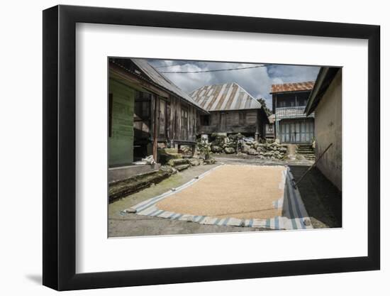 Coffee Beans Drying in Sun in a Village in Foothills of Sinabung Volcano, North Sumatra, Indonesia-Matthew Williams-Ellis-Framed Photographic Print