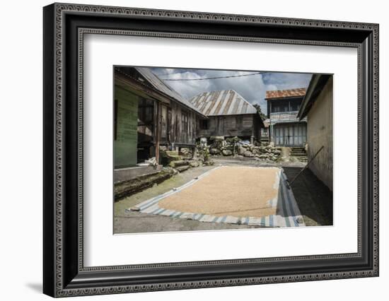 Coffee Beans Drying in Sun in a Village in Foothills of Sinabung Volcano, North Sumatra, Indonesia-Matthew Williams-Ellis-Framed Photographic Print