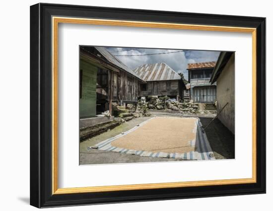 Coffee Beans Drying in Sun in a Village in Foothills of Sinabung Volcano, North Sumatra, Indonesia-Matthew Williams-Ellis-Framed Photographic Print