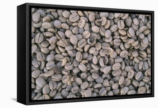 Coffee Beans Drying-Paul Souders-Framed Premier Image Canvas