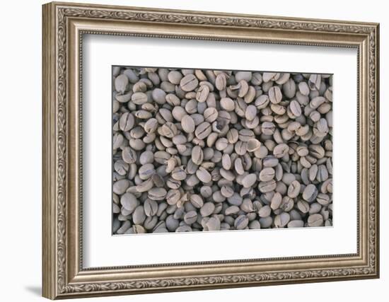 Coffee Beans Drying-Paul Souders-Framed Photographic Print