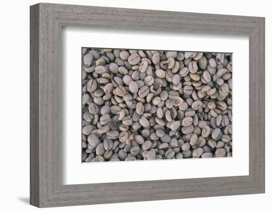 Coffee Beans Drying-Paul Souders-Framed Photographic Print