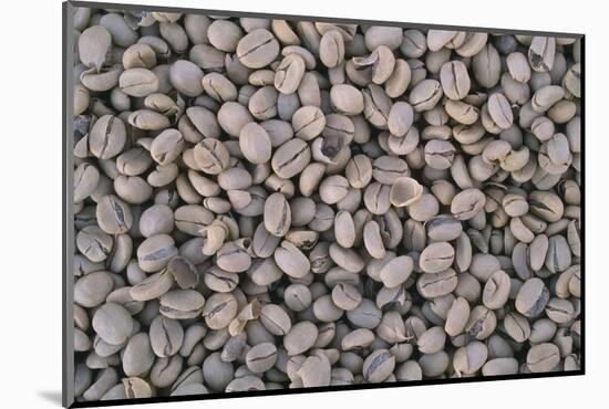 Coffee Beans Drying-Paul Souders-Mounted Photographic Print