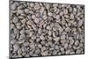 Coffee Beans Drying-Paul Souders-Mounted Photographic Print