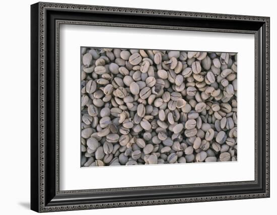 Coffee Beans Drying-Paul Souders-Framed Photographic Print