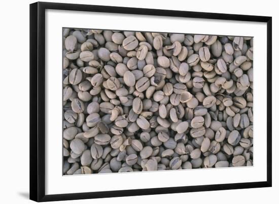 Coffee Beans Drying-Paul Souders-Framed Photographic Print