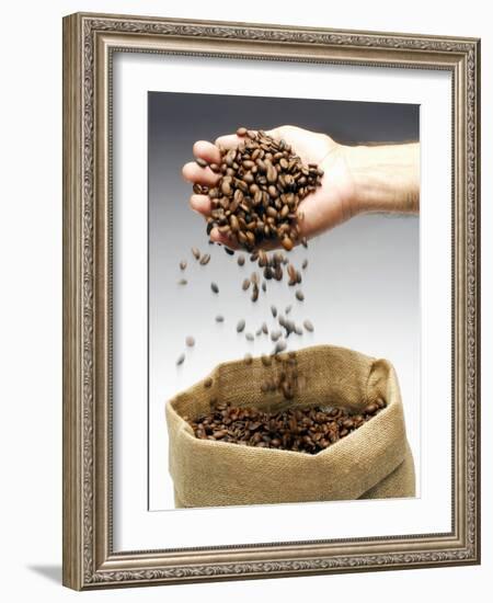 Coffee Beans Falling from Someone's Hand into a Sack-Gustavo Andrade-Framed Photographic Print