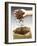 Coffee Beans Falling from Someone's Hand into a Sack-Gustavo Andrade-Framed Photographic Print