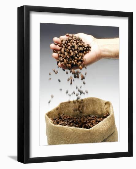 Coffee Beans Falling from Someone's Hand into a Sack-Gustavo Andrade-Framed Photographic Print