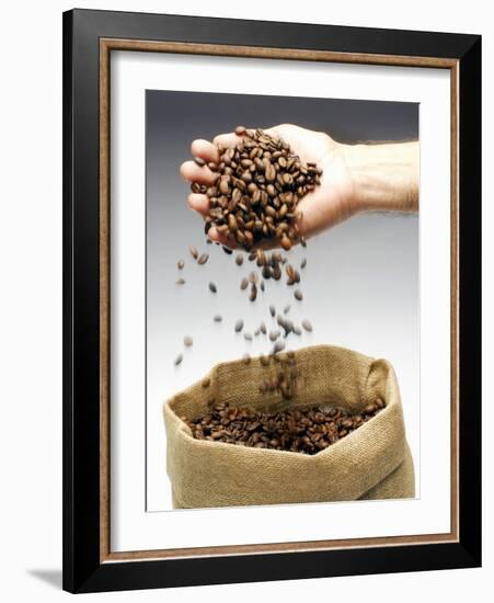 Coffee Beans Falling from Someone's Hand into a Sack-Gustavo Andrade-Framed Photographic Print