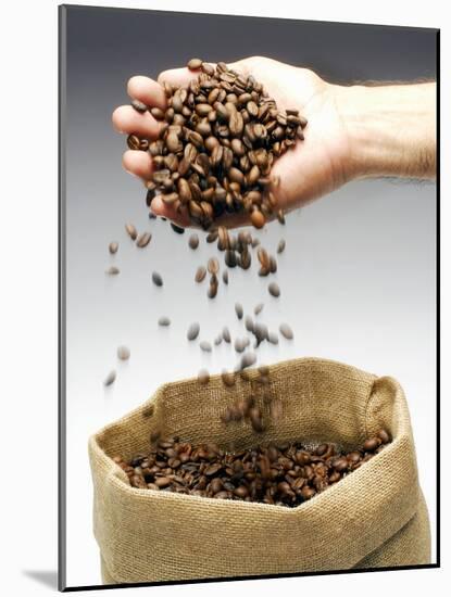 Coffee Beans Falling from Someone's Hand into a Sack-Gustavo Andrade-Mounted Photographic Print