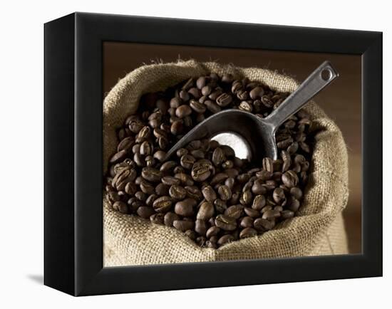 Coffee Beans in a Jute Sack-Jean-Michel Georges-Framed Premier Image Canvas