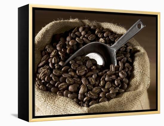 Coffee Beans in a Jute Sack-Jean-Michel Georges-Framed Premier Image Canvas