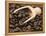 Coffee Beans in a Scoop-Steven Morris-Framed Premier Image Canvas