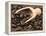 Coffee Beans in a Scoop-Steven Morris-Framed Premier Image Canvas