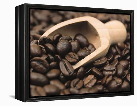 Coffee Beans in a Scoop-Steven Morris-Framed Premier Image Canvas