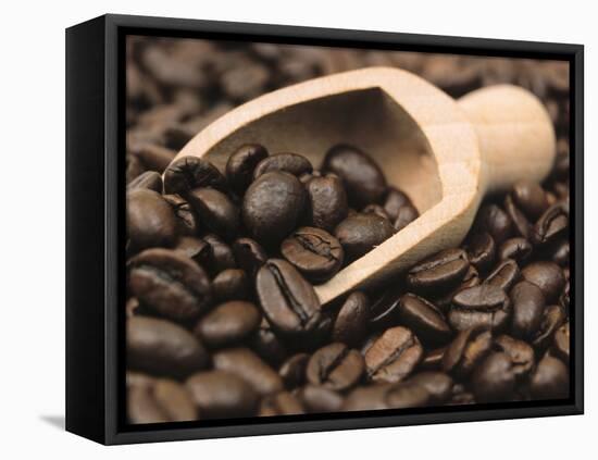 Coffee Beans in a Scoop-Steven Morris-Framed Premier Image Canvas