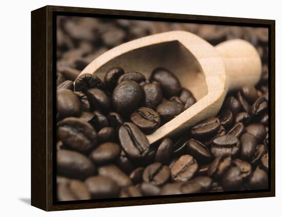 Coffee Beans in a Scoop-Steven Morris-Framed Premier Image Canvas