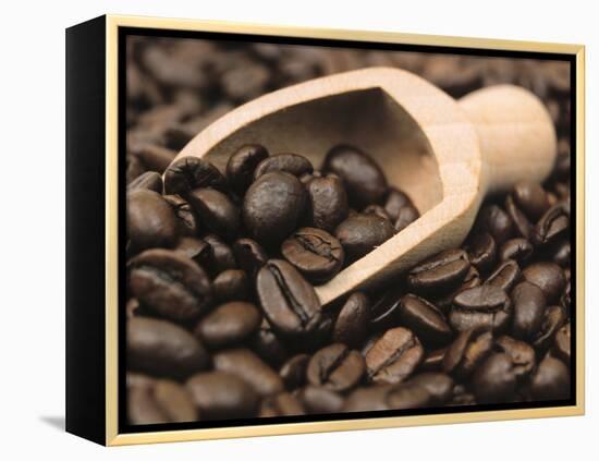 Coffee Beans in a Scoop-Steven Morris-Framed Premier Image Canvas