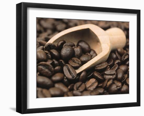 Coffee Beans in a Scoop-Steven Morris-Framed Premium Photographic Print