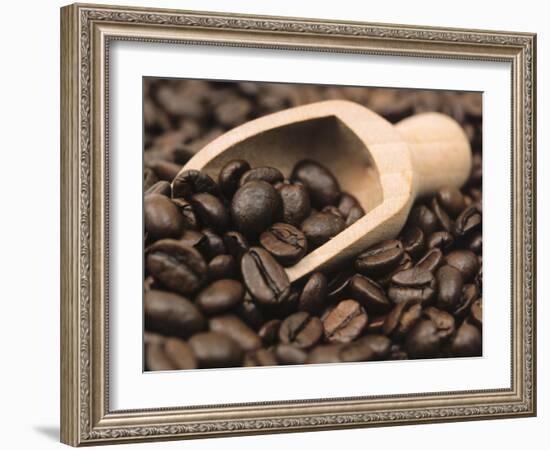 Coffee Beans in a Scoop-Steven Morris-Framed Photographic Print