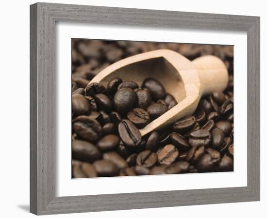 Coffee Beans in a Scoop-Steven Morris-Framed Photographic Print