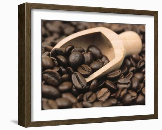 Coffee Beans in a Scoop-Steven Morris-Framed Photographic Print