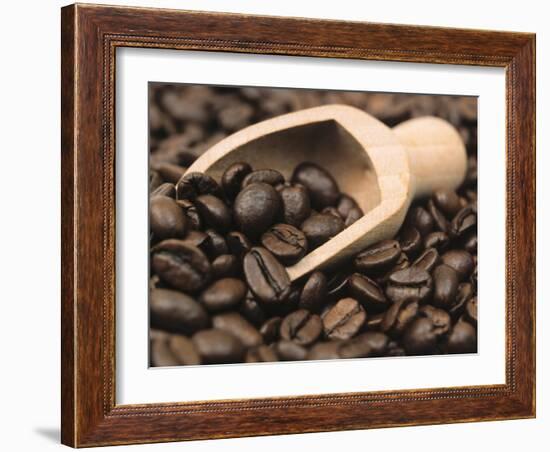 Coffee Beans in a Scoop-Steven Morris-Framed Photographic Print