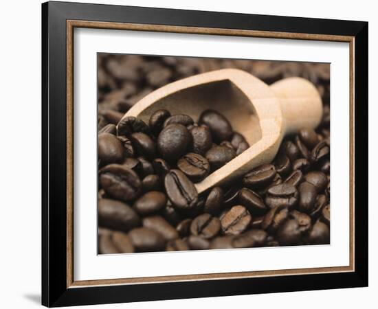 Coffee Beans in a Scoop-Steven Morris-Framed Photographic Print