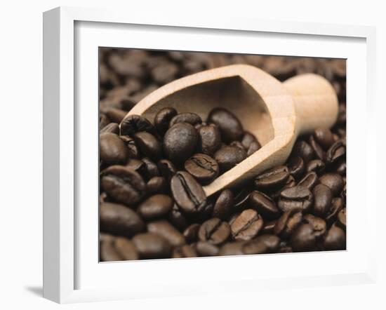 Coffee Beans in a Scoop-Steven Morris-Framed Photographic Print