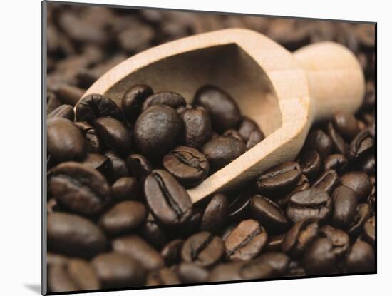 Coffee Beans in a Scoop-Steven Morris-Mounted Photographic Print