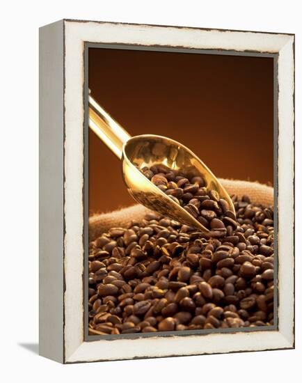 Coffee Beans in Sack and in Golden Scoop-Vladimir Shulevsky-Framed Premier Image Canvas