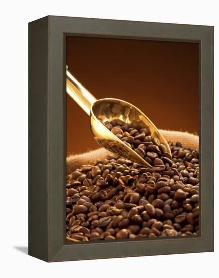 Coffee Beans in Sack and in Golden Scoop-Vladimir Shulevsky-Framed Premier Image Canvas