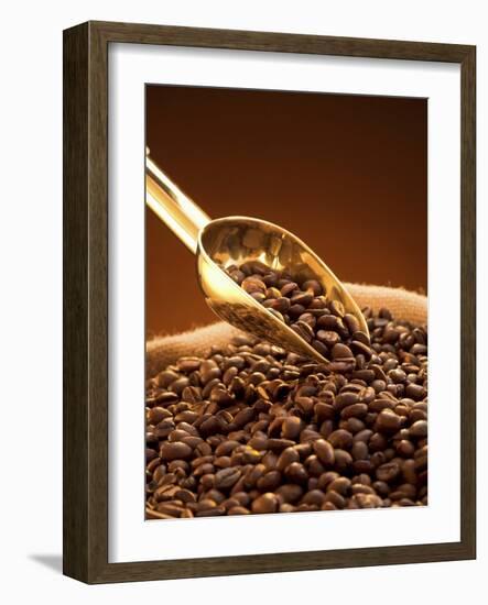 Coffee Beans in Sack and in Golden Scoop-Vladimir Shulevsky-Framed Photographic Print