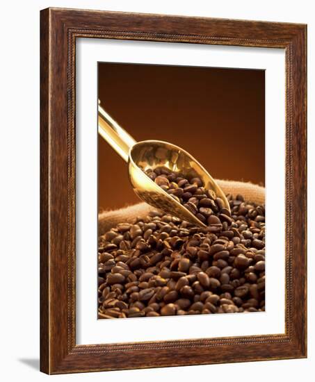 Coffee Beans in Sack and in Golden Scoop-Vladimir Shulevsky-Framed Photographic Print