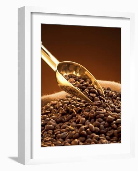 Coffee Beans in Sack and in Golden Scoop-Vladimir Shulevsky-Framed Photographic Print