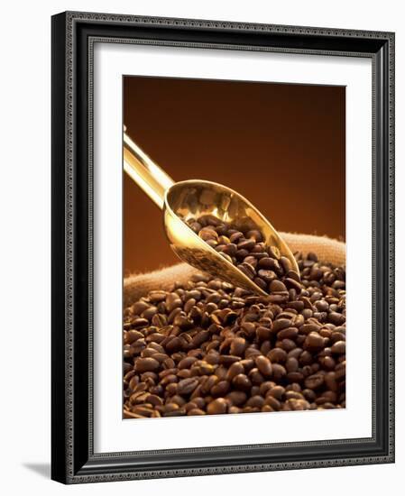 Coffee Beans in Sack and in Golden Scoop-Vladimir Shulevsky-Framed Photographic Print