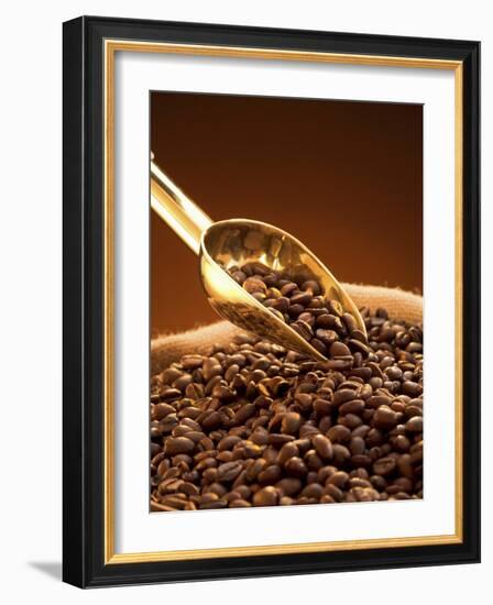 Coffee Beans in Sack and in Golden Scoop-Vladimir Shulevsky-Framed Photographic Print