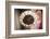 Coffee Beans, Omo Valley, Ethiopia, Africa-Ben Pipe-Framed Photographic Print