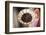 Coffee Beans, Omo Valley, Ethiopia, Africa-Ben Pipe-Framed Photographic Print