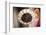 Coffee Beans, Omo Valley, Ethiopia, Africa-Ben Pipe-Framed Photographic Print