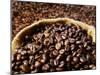 Coffee Beans, Some in a Sack-Dieter Heinemann-Mounted Photographic Print