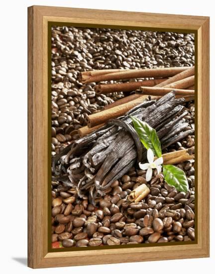 Coffee Beans, Vanilla Pods and Cinnamon Sticks-Karl Newedel-Framed Premier Image Canvas