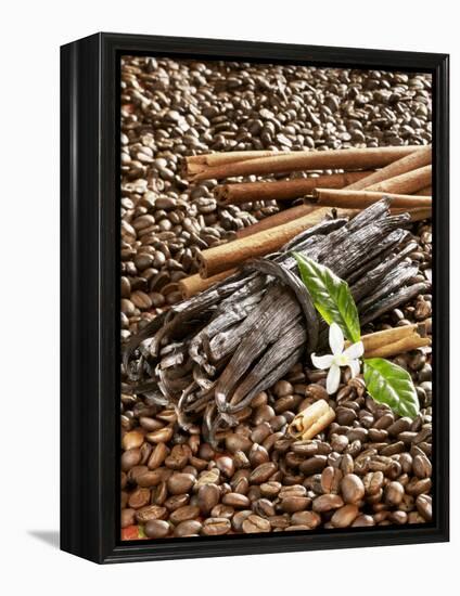 Coffee Beans, Vanilla Pods and Cinnamon Sticks-Karl Newedel-Framed Premier Image Canvas