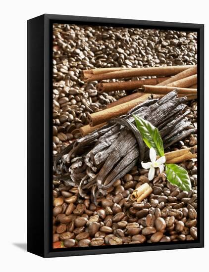 Coffee Beans, Vanilla Pods and Cinnamon Sticks-Karl Newedel-Framed Premier Image Canvas