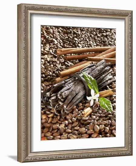 Coffee Beans, Vanilla Pods and Cinnamon Sticks-Karl Newedel-Framed Photographic Print